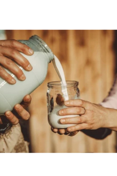 Milk